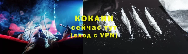 apvp Алексин